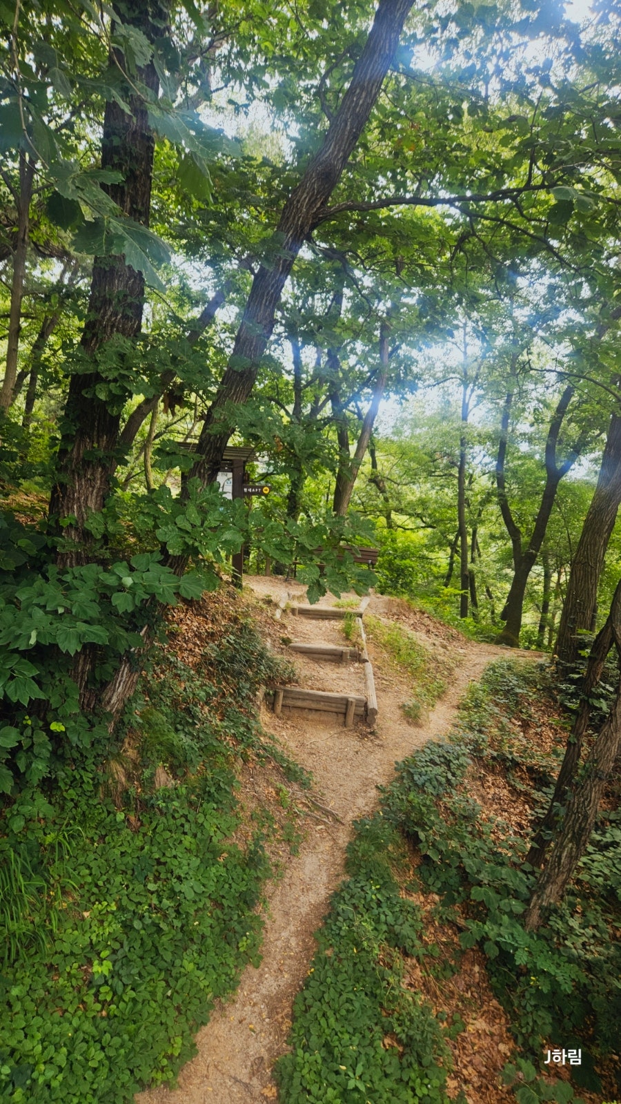 전봇대로 사진 6