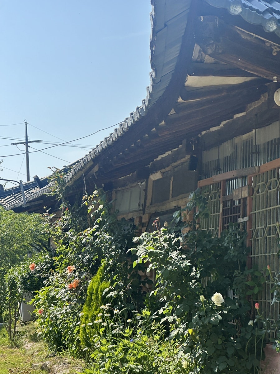 바오밥 사진 4