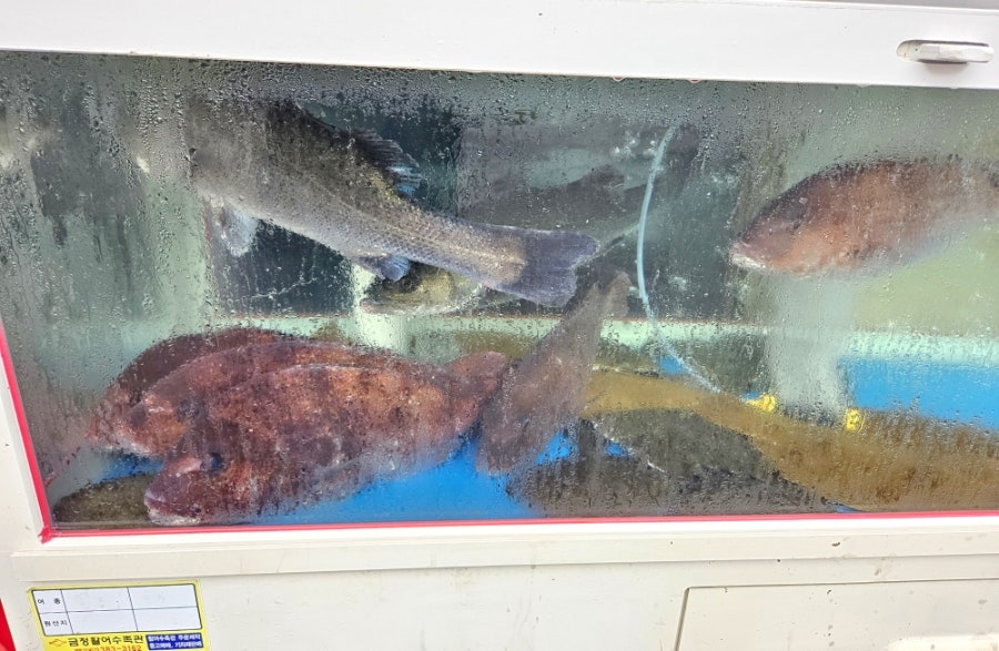 어부의식탁 사진 3
