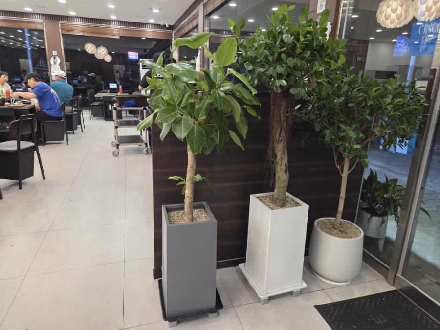 오리세상 사진 5