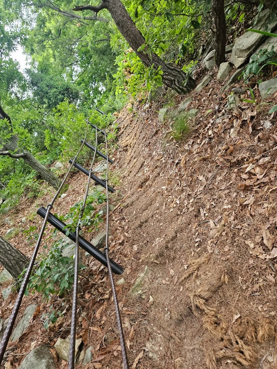 상주산 사진 2