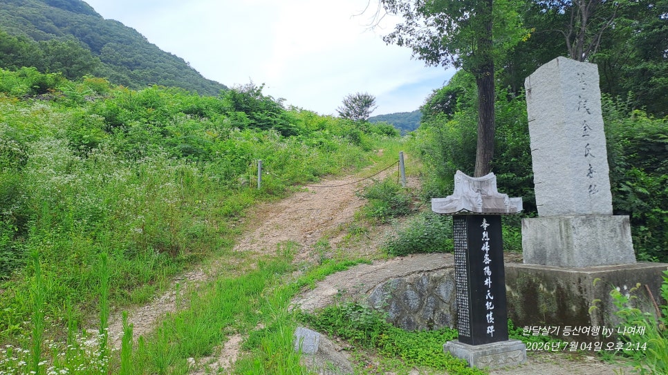 대부산 사진 6