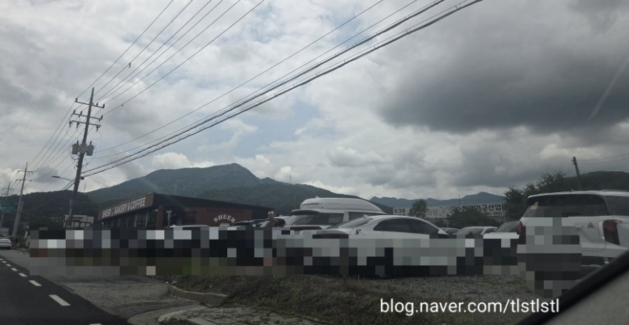 개구리커피 사진 1