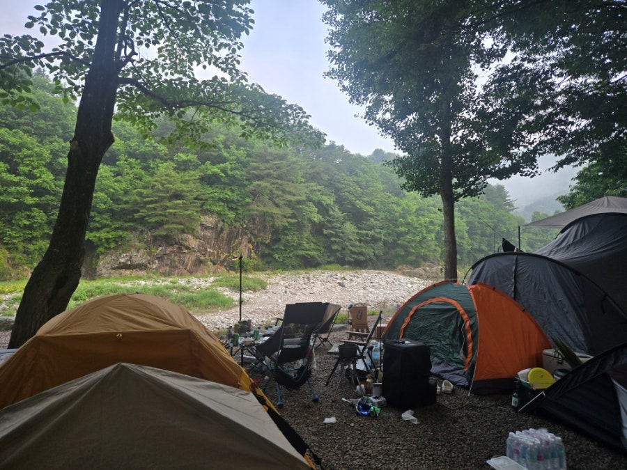 무릉도원유원지 사진 4