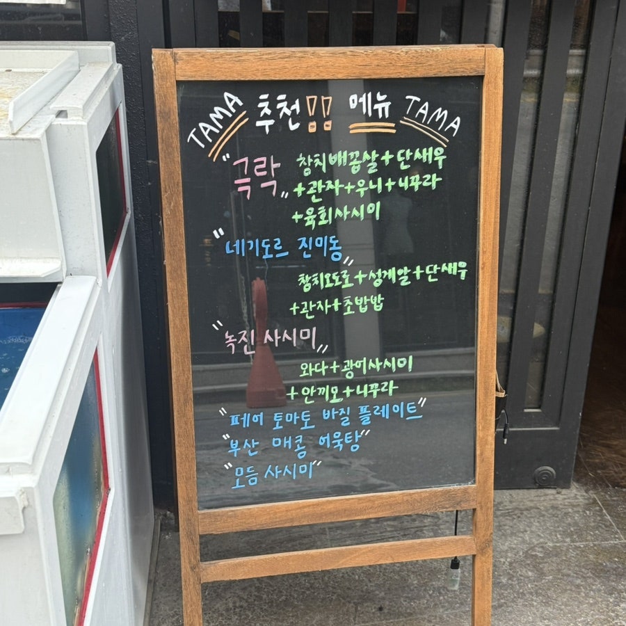 타마 사진 2