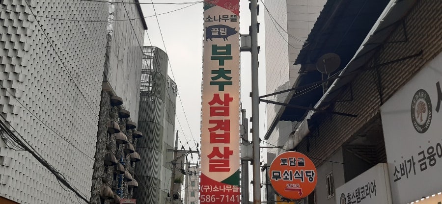 소나무뜰끌림 부추삼겹살 사진 3