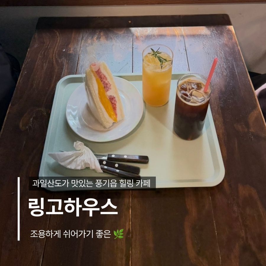 키티 사진