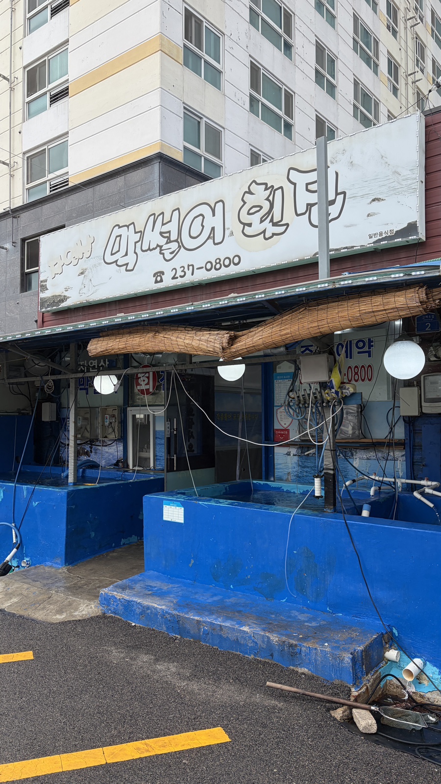 막썰어횟집 사진 1