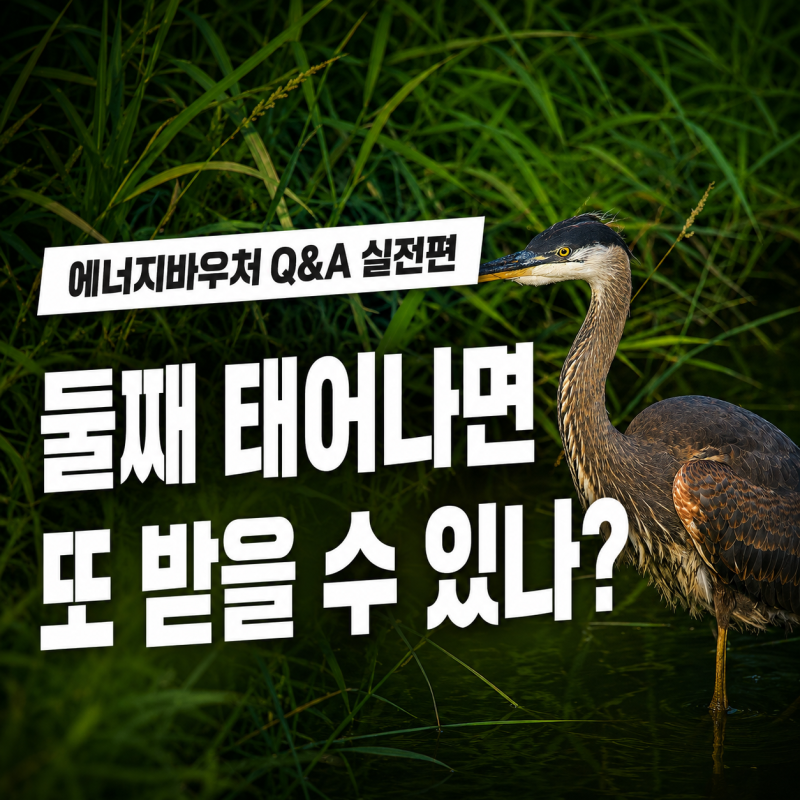 에너지바우처 임산부·영유아·다자녀 신청조건 Q&A 총정리