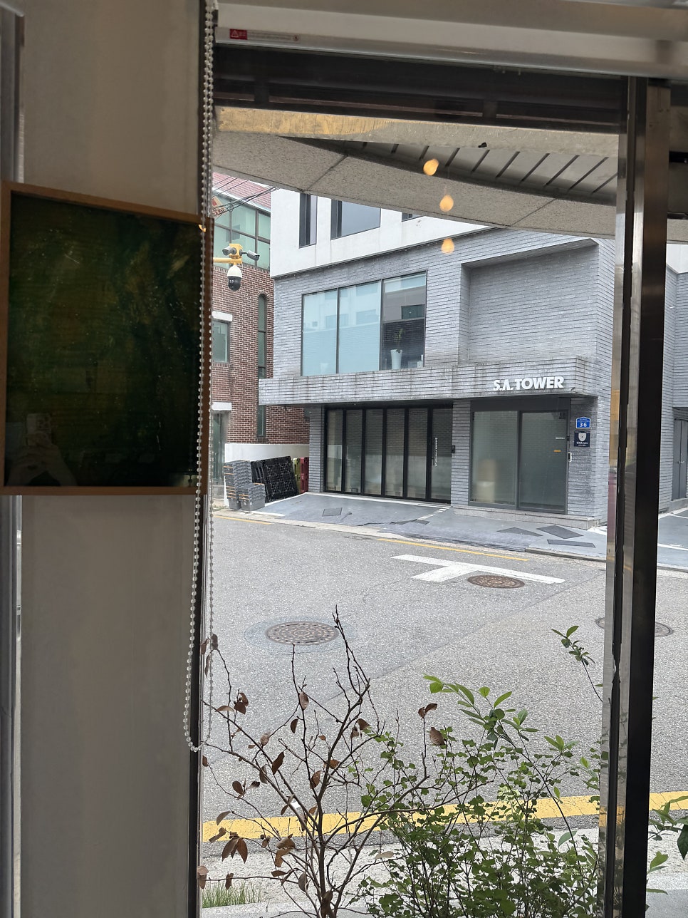비스퀴테리 산 사진 3
