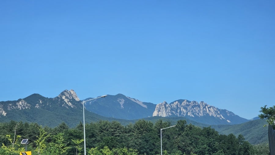 김영애할머니순두부 본점 사진 2