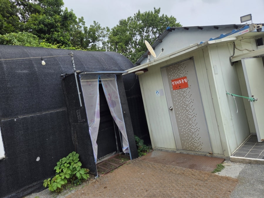 연진네토종닭 사진 3