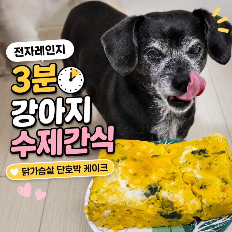 전자레인지 3분 완성! 강아지 닭가슴살 단호박 케이크 레시피