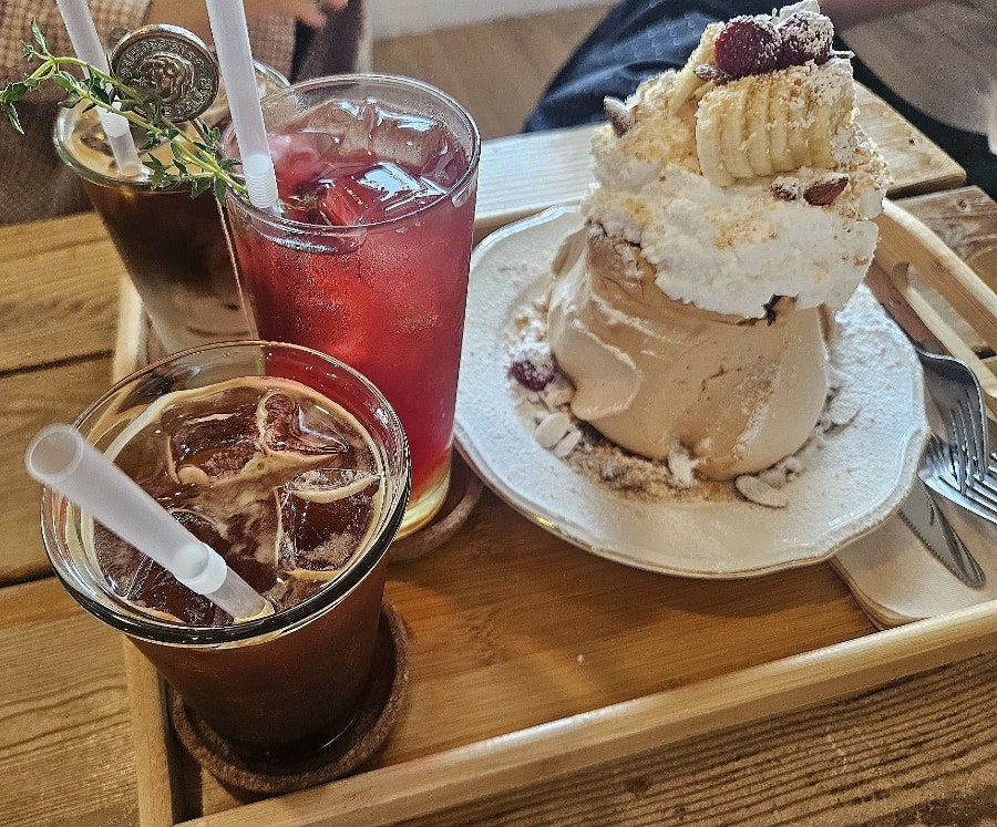 토라비 사진 3