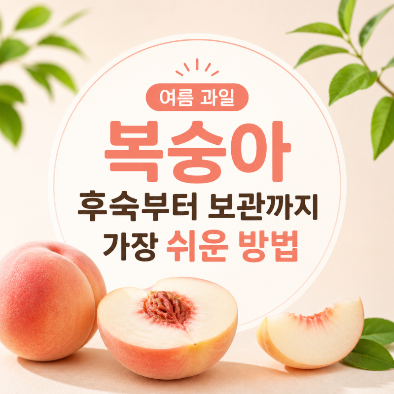 여름 과일 복숭아, 후숙부터 보관까지 가장 쉬운 방법