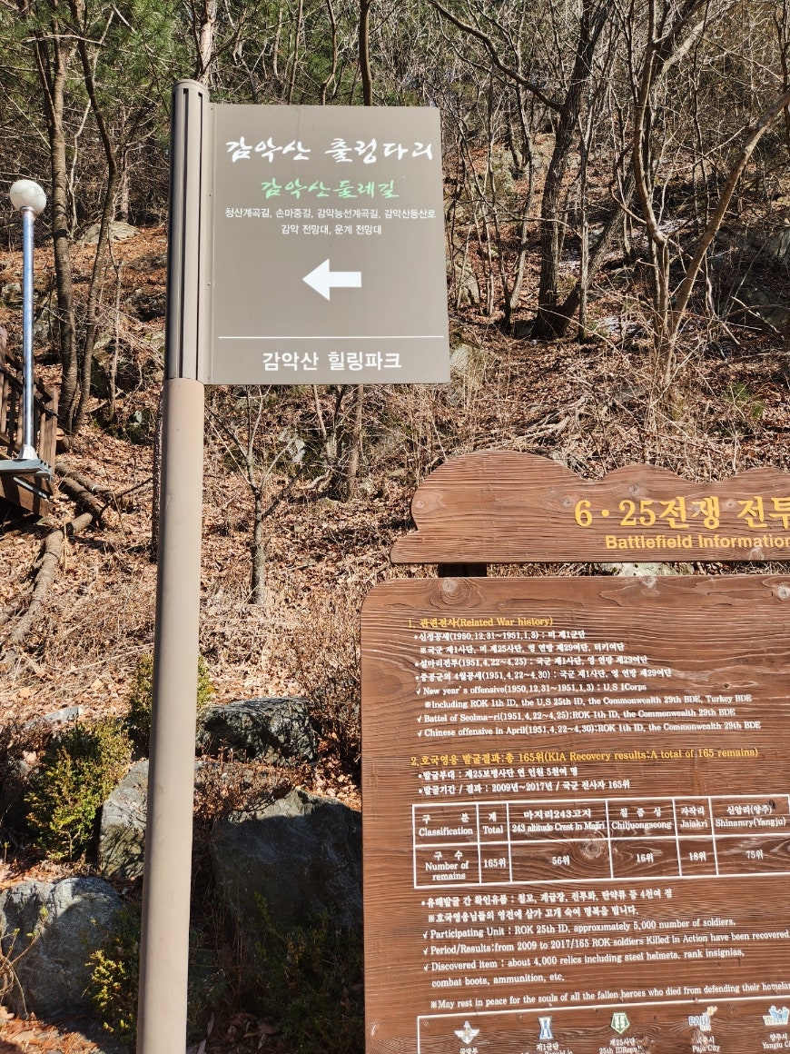 미테 사진 3