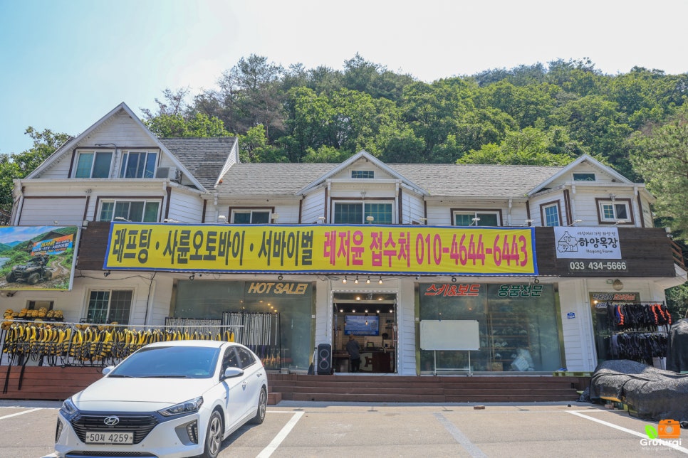 그루터기 사진 3