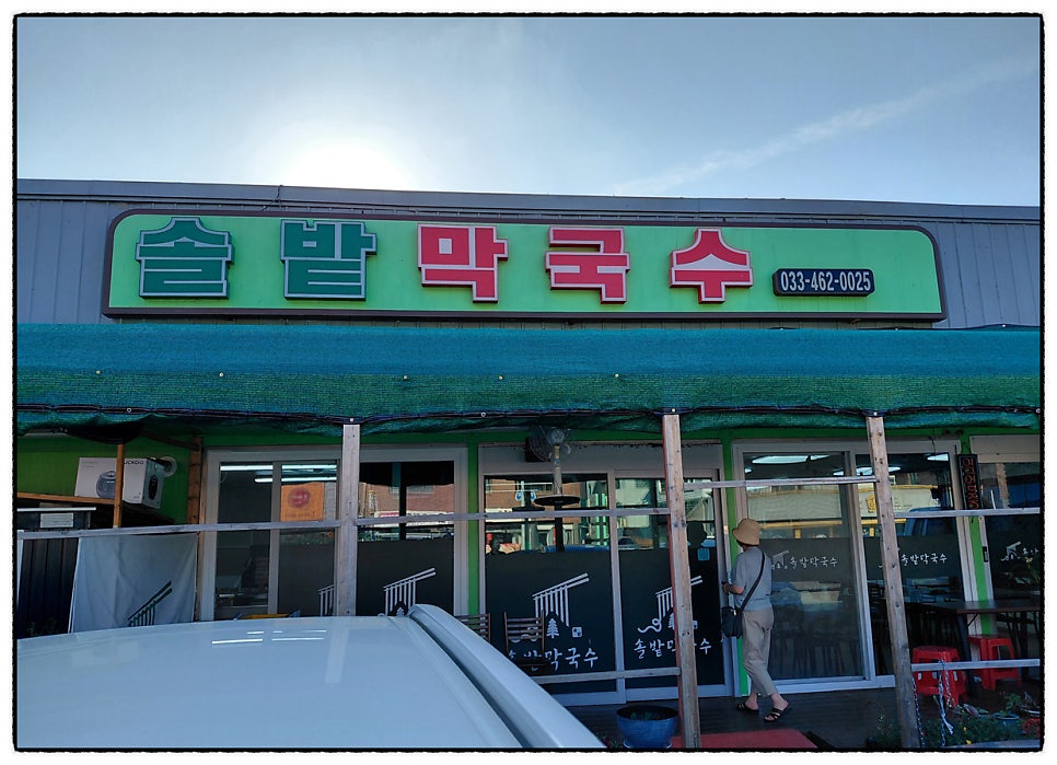 솔밭 사진 1