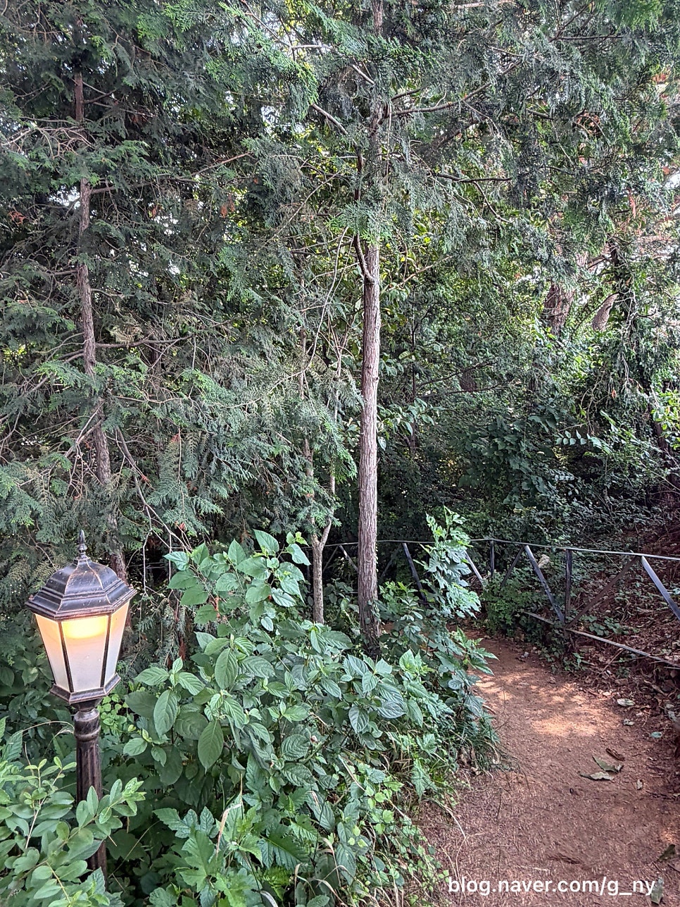 프란쓰 사진 2