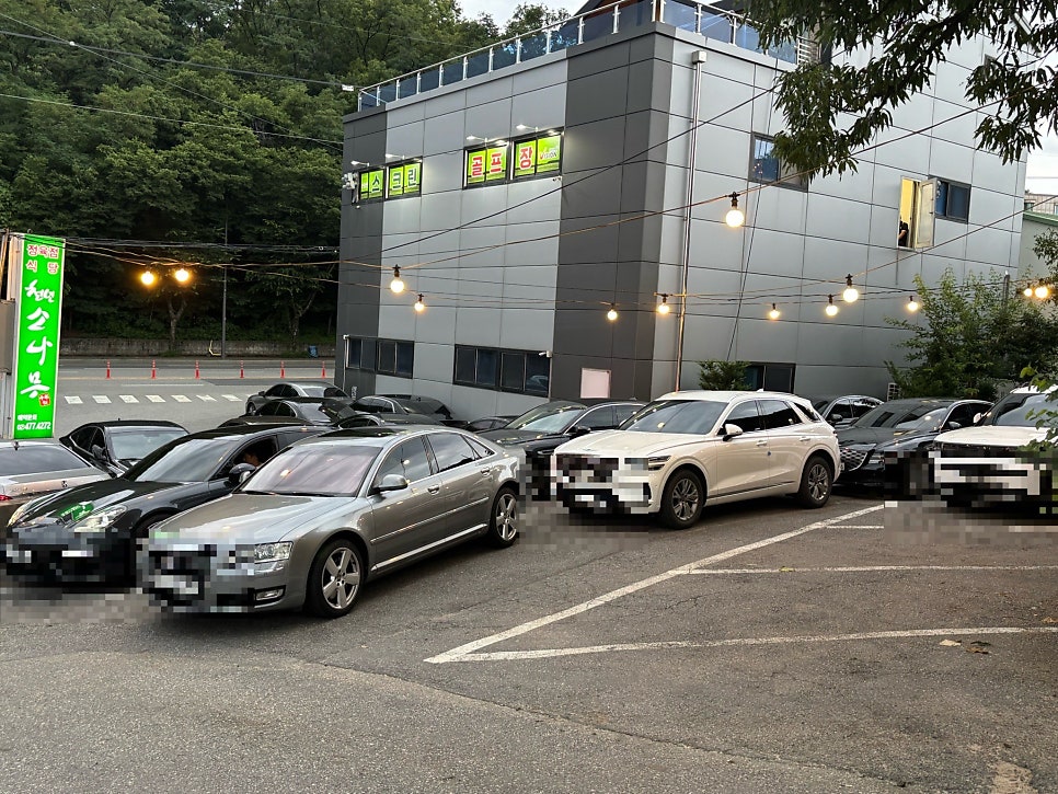 천년소나무 사진 6