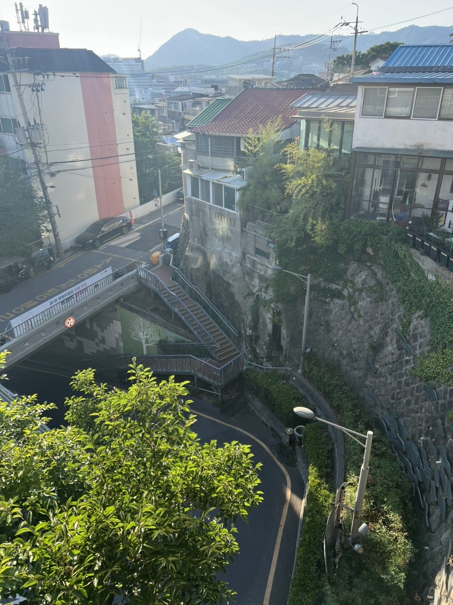 띡 사진 3