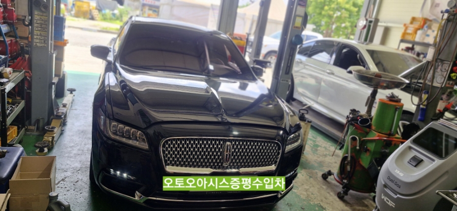 오아시스 사진 1