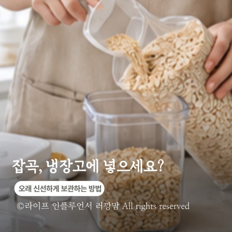 잡곡, 냉장고에 넣어야 할까요? 오래 신선하게 보관하는 방법
