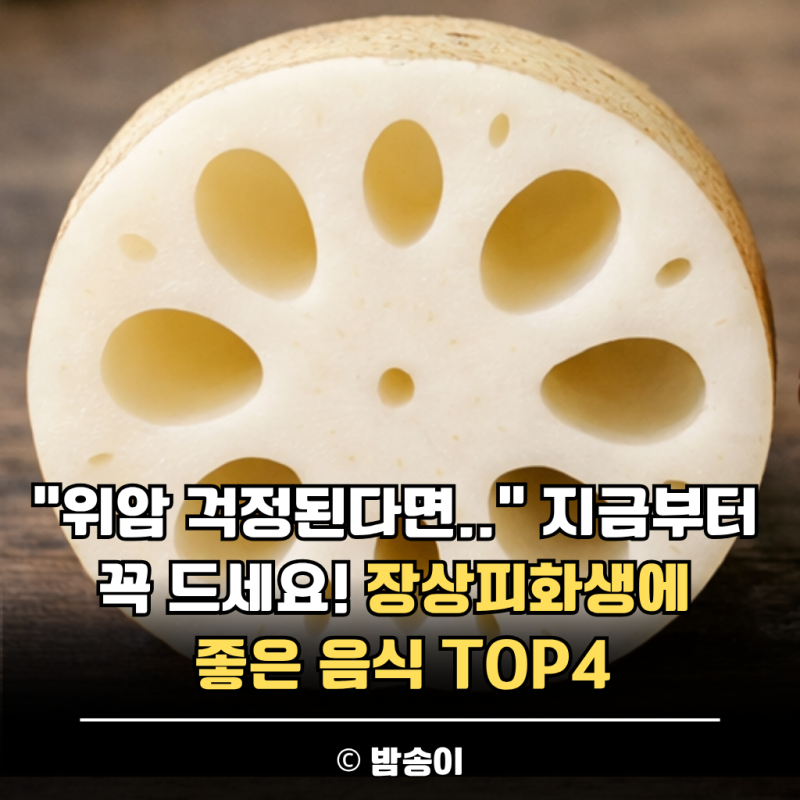 "위암 걱정된다면.." 지금부터 꼭 드세요! 장상피화생에 좋은 음식 TOP4