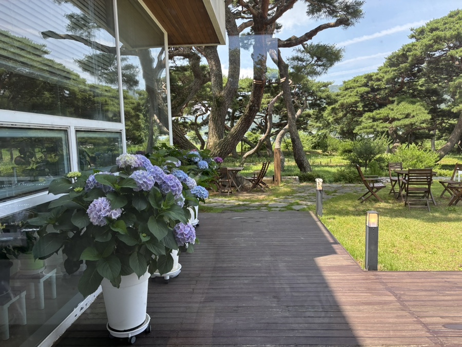 카페 늘파인 사진 1