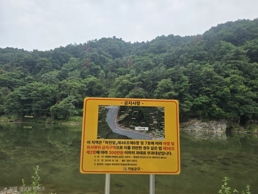 카페모모 사진 3