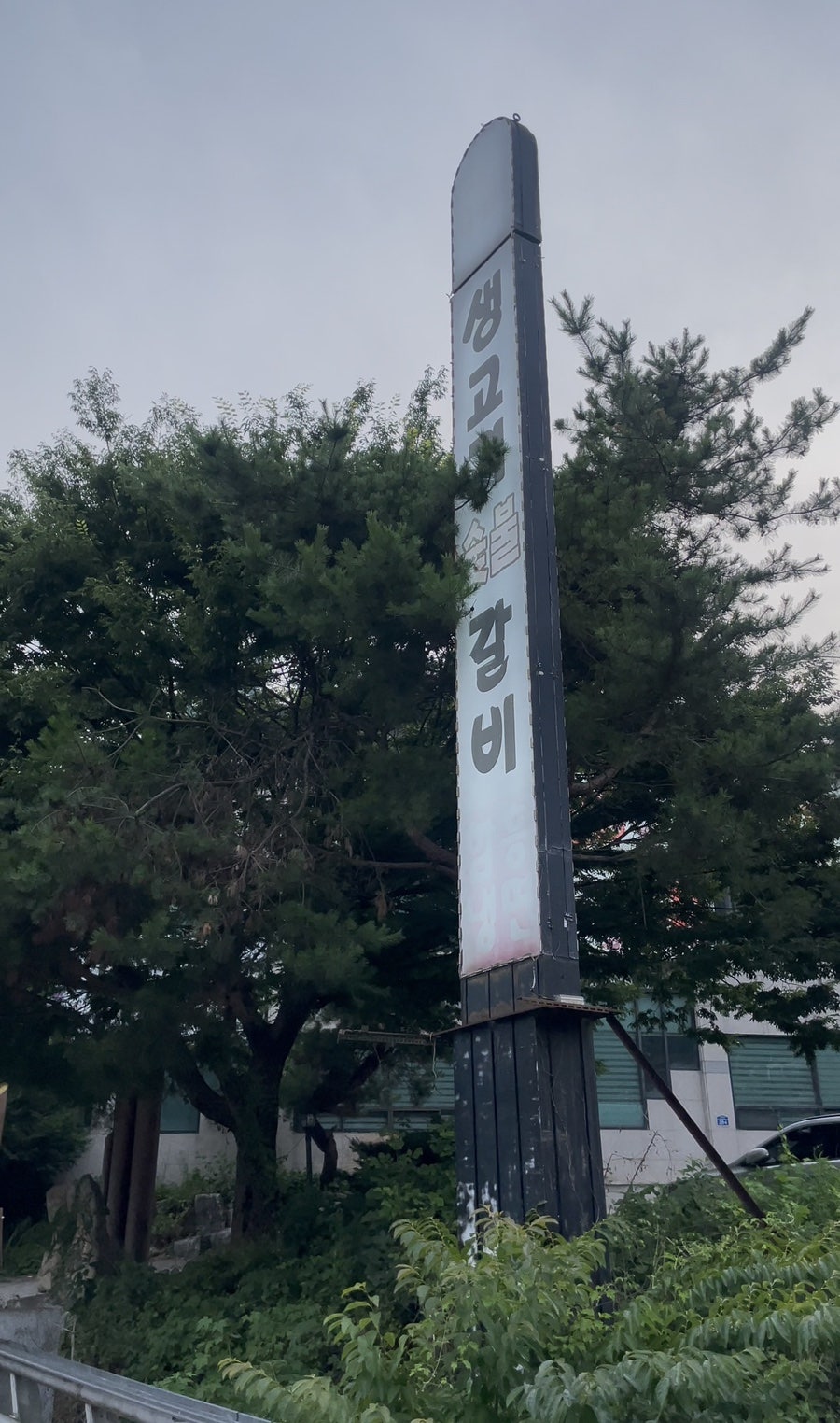 홍고집 사진 2