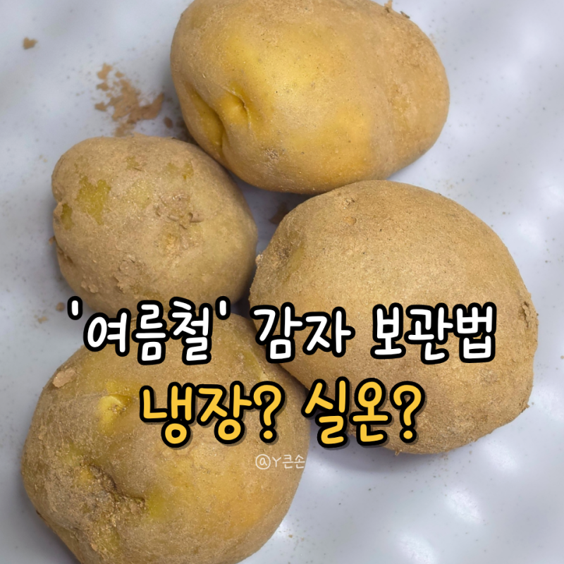 감자 보관방법, 여름철 오래 보관법 깐감자보관