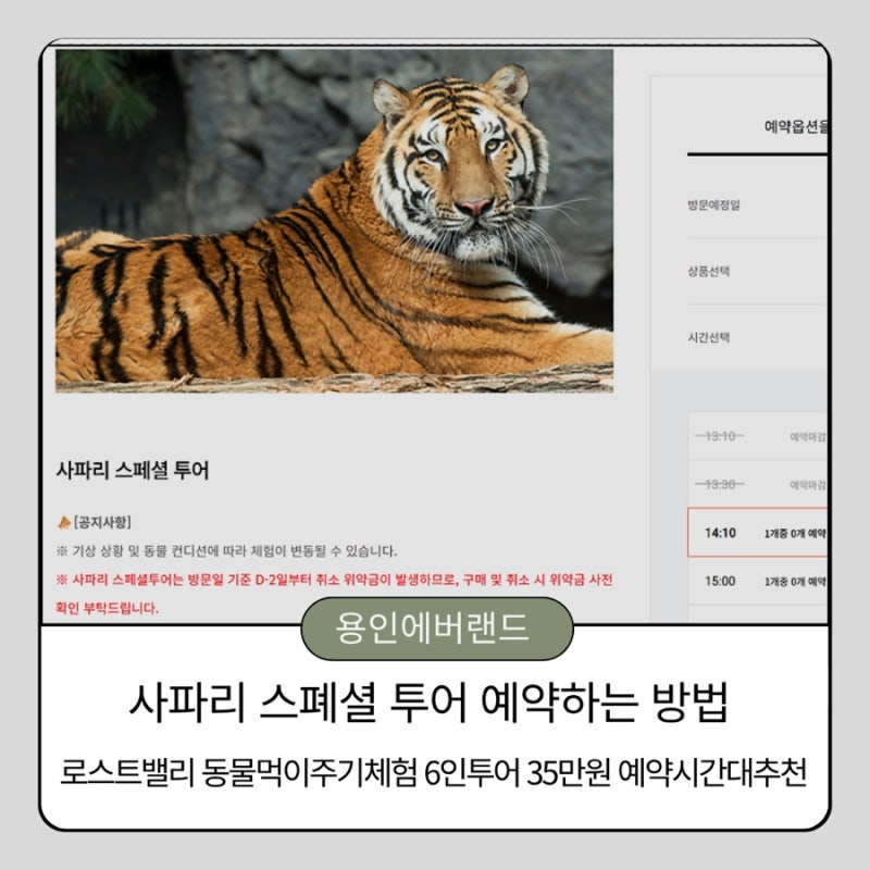 에버랜드 로스트밸리 사파리스폐셜투어 스마트예약 예약하기 방법