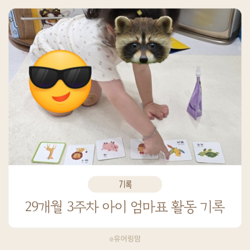 블로그 후기 사진