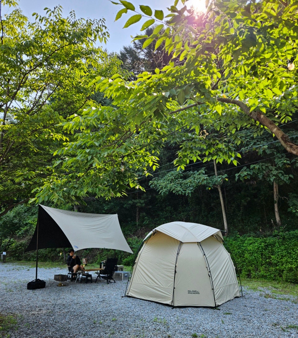 춘천농협 하나로마트 본점 사진 1