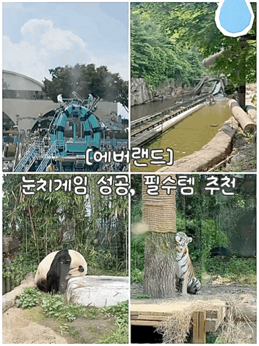 Yongin Everland: Weekend Crowd-Dodging Success! Safari World to Panda World Free Pass (Feat. Essentials)