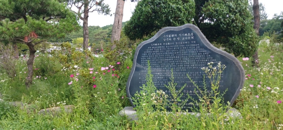 포레145 사진 4