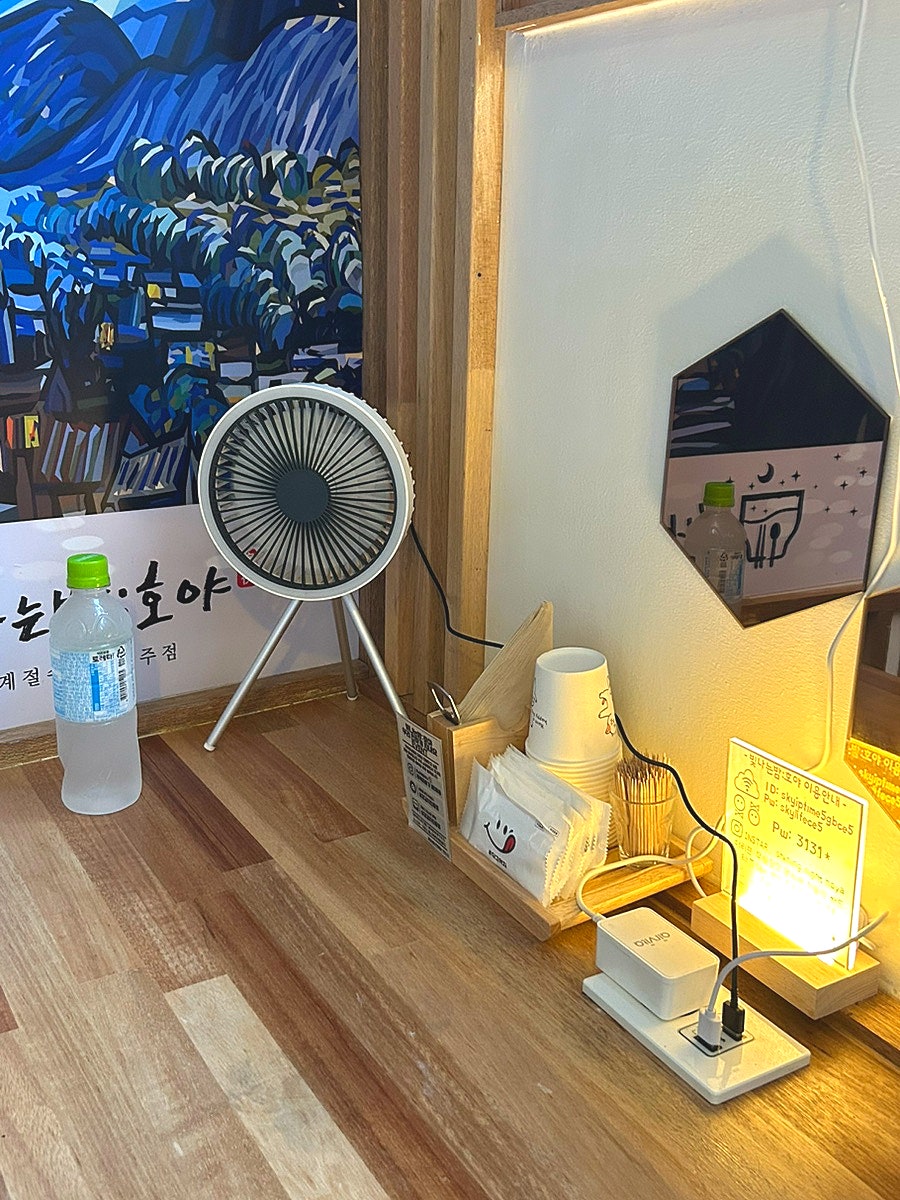 빛나는밤호야 사진 5