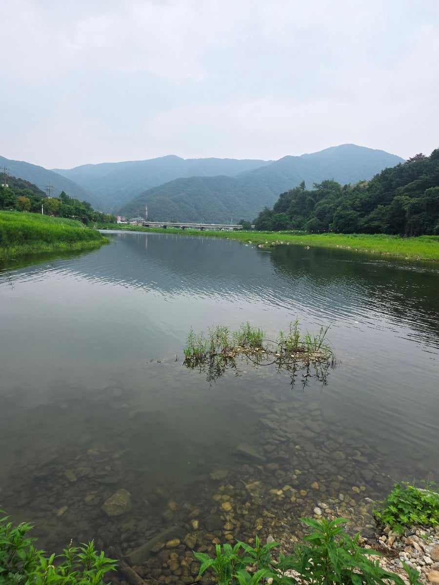 카페모모 사진 6