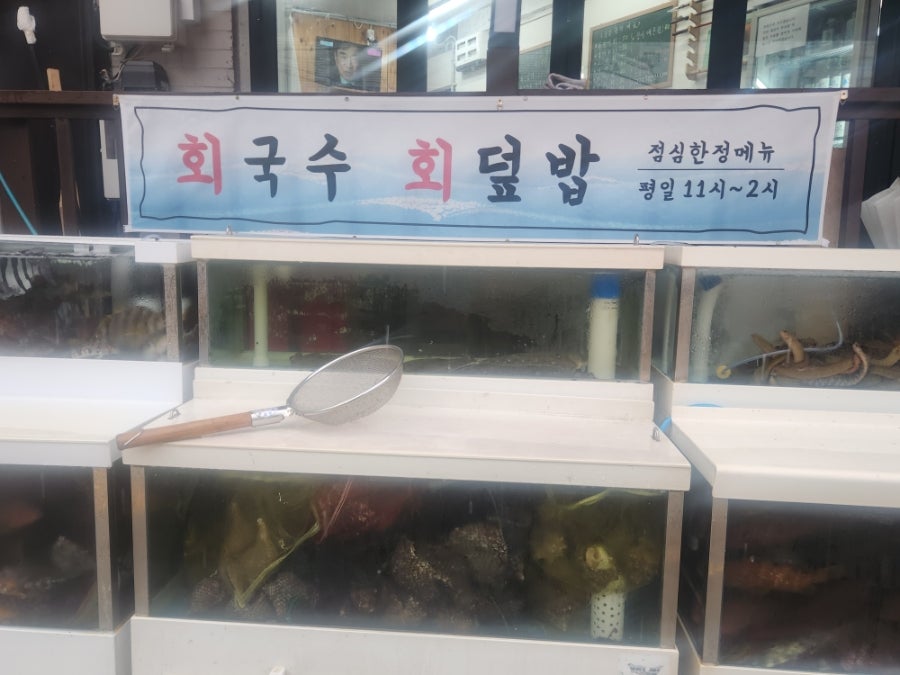 어류도감 사진 4