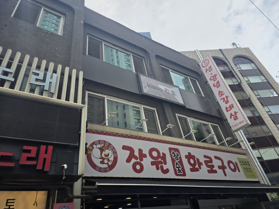 킨토 사진 2