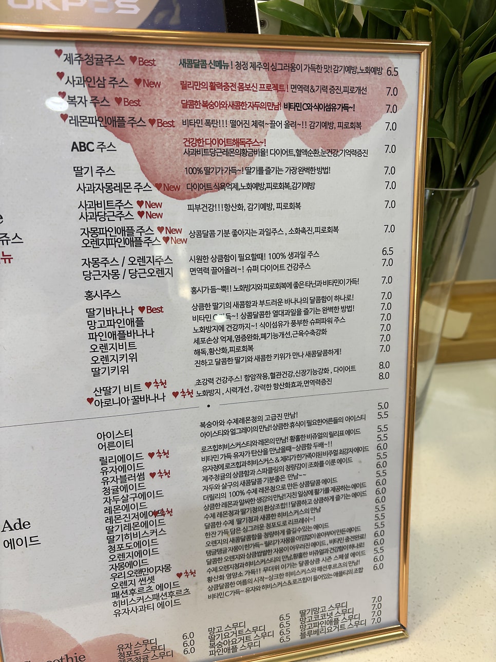 더릴리 사진 4