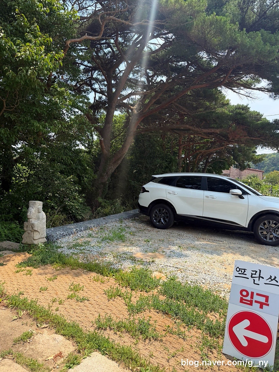 프란쓰 사진 1