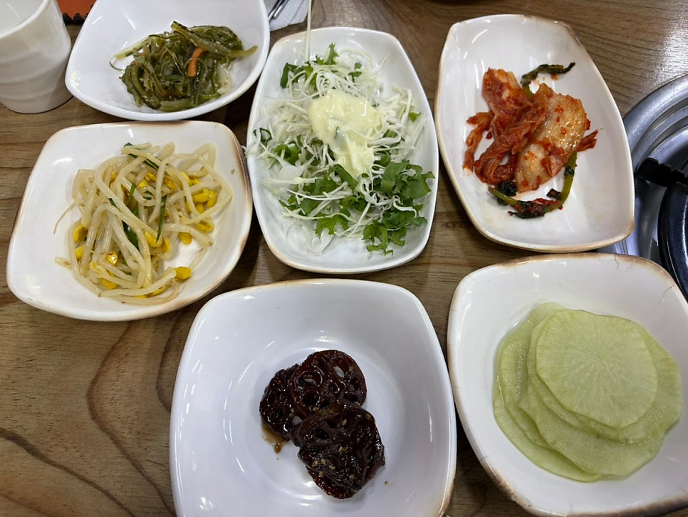 오고집쭈삼 사진 6