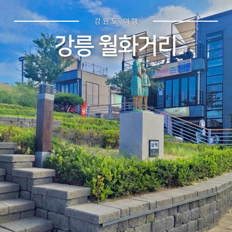 강릉월화거리 소품샵 중앙시장 강릉 놀거리 여행코스 추천