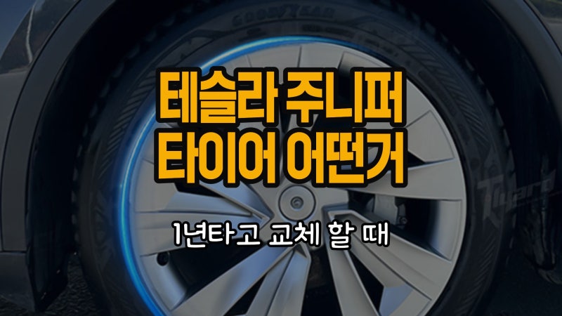 테슬라 주니퍼 타이어 교체 대세 2종 비교 및 추천