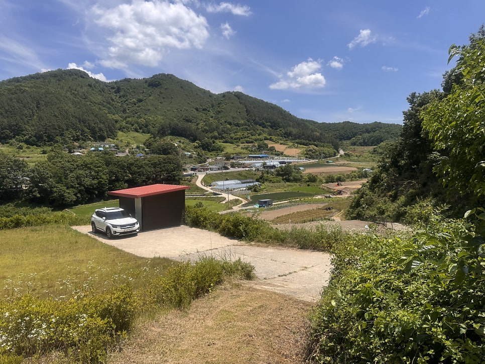 천반산 사진 3