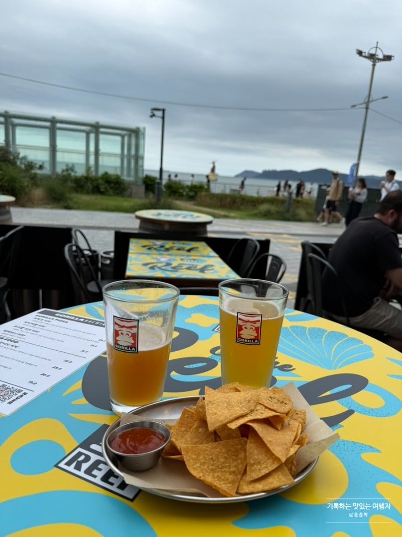 해운대 바다뷰 생맥주 (고릴라 브루잉, 햄튼)