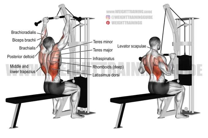 Lat Pull Down (랫 풀 다운)