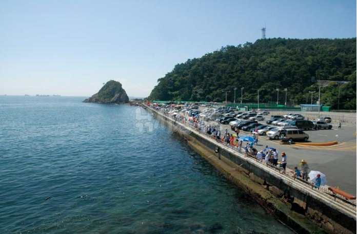 부산 낚시 포인트 추천 TOP 4 직접 발로 뛰며 찾아낸 명당 총정리